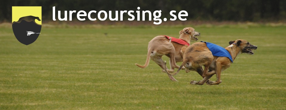 VKLC Västra